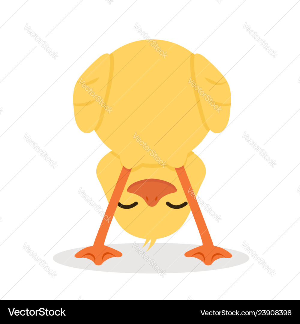 Funny duck cartoon vector image