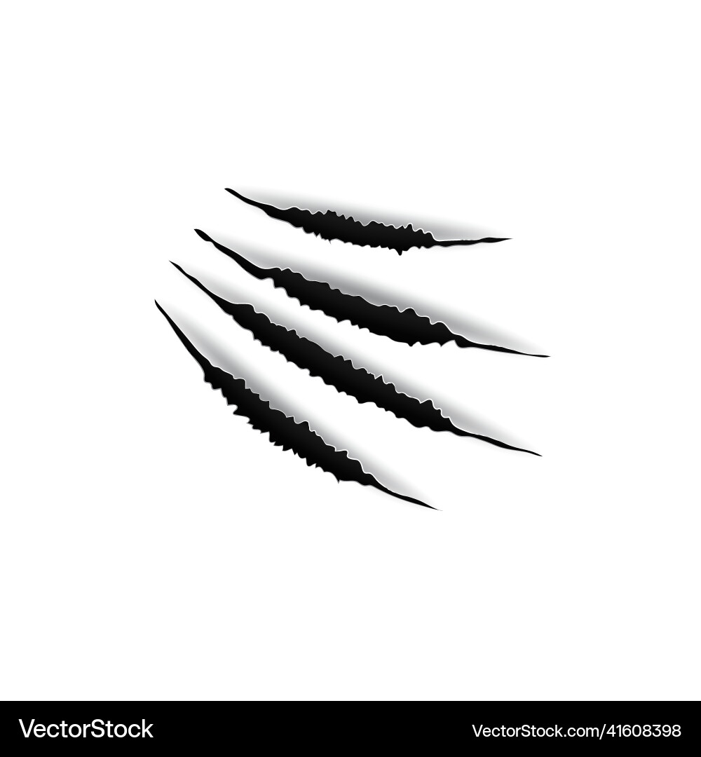 Tiger or wild cat animal nails trace scratches Tiger or wild cat animal nails trace scratches Vector Image