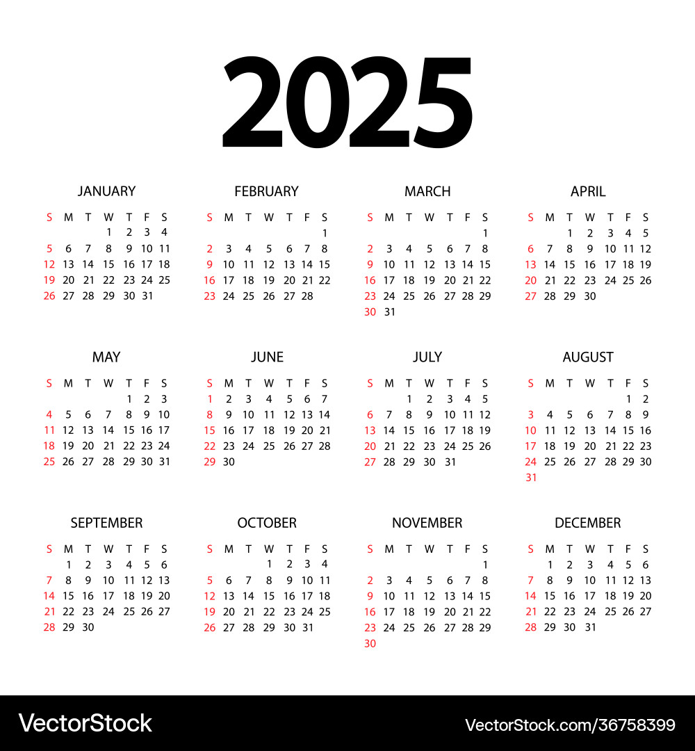 Calendar template for 2025 year planner diary Vector Image