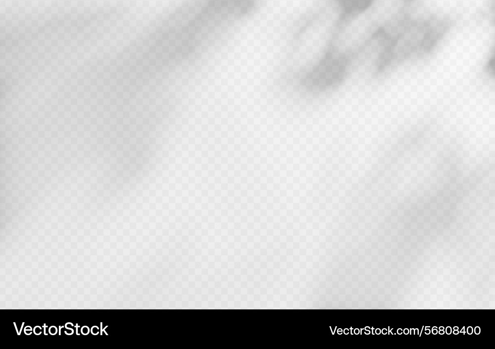 Abstract shadow overlay from tree branch Abstract shadow overlay from tree branch vector image