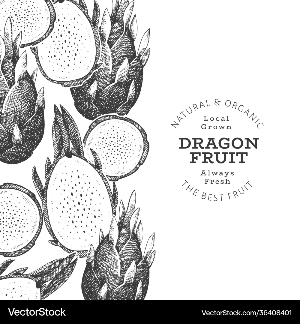 Handgezeichnete Drachenfrucht Design Template bio Handgezeichnete Drachenfrucht Design Template bio vektorbild