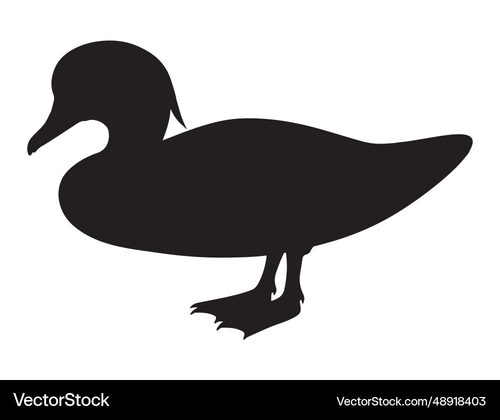 Wood duck silhouette art Wood duck silhouette art vector image