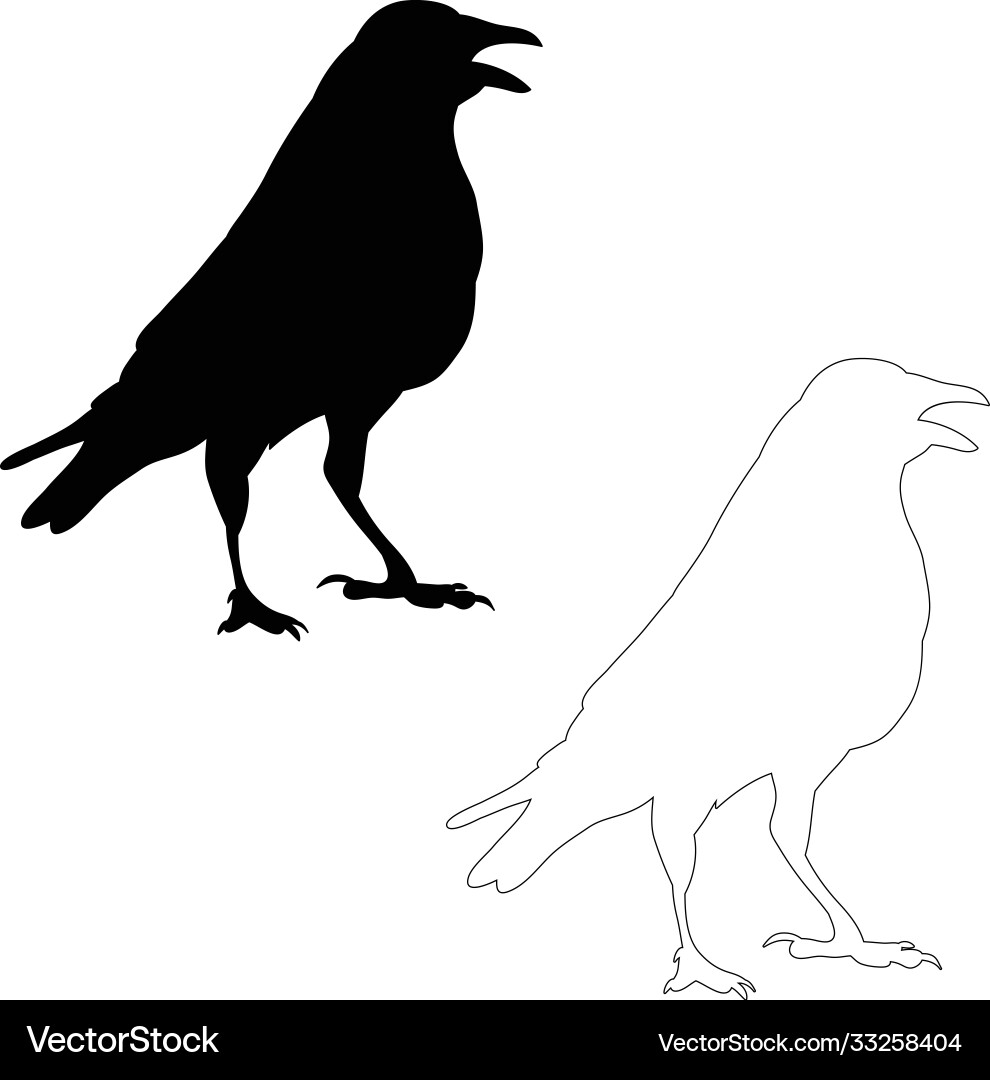 Raven Silhouettes - Birds Outline vector image