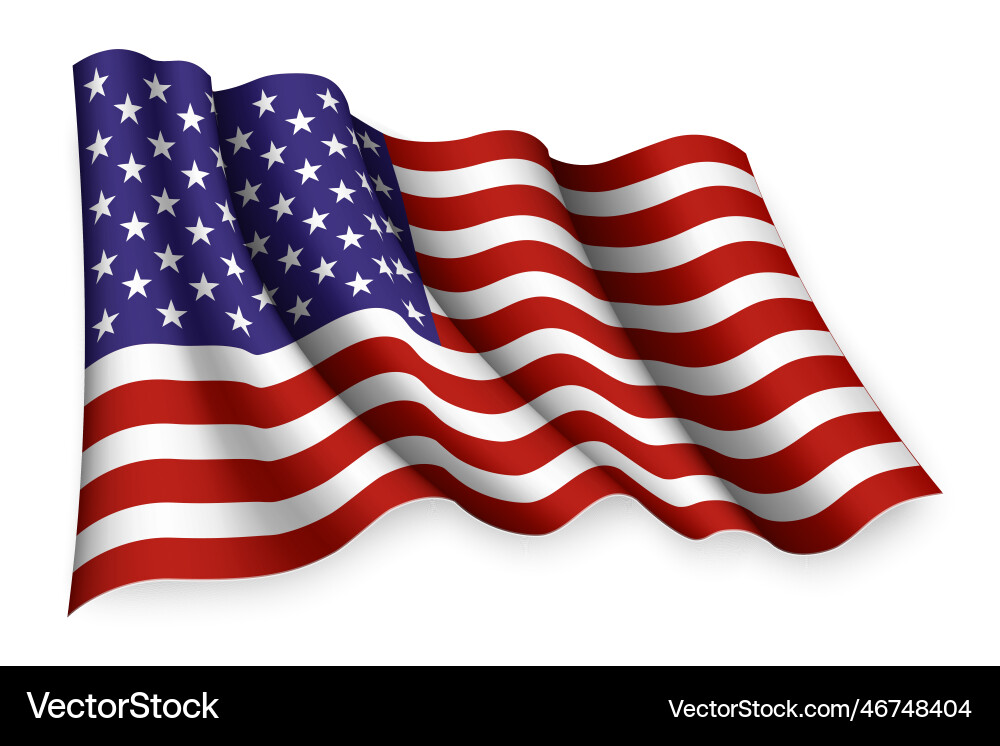 Waving American Flag vector image