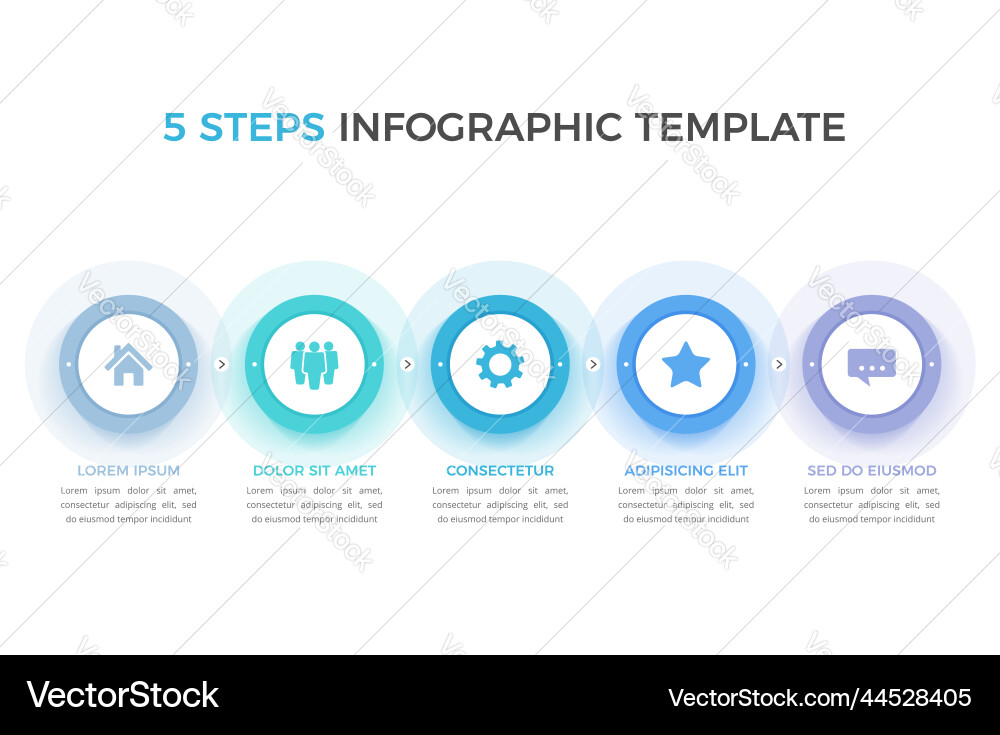 5 Step Workflow Infographic Template vector image