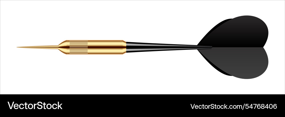 Dart arrow with metal tip and shadow Vector Image