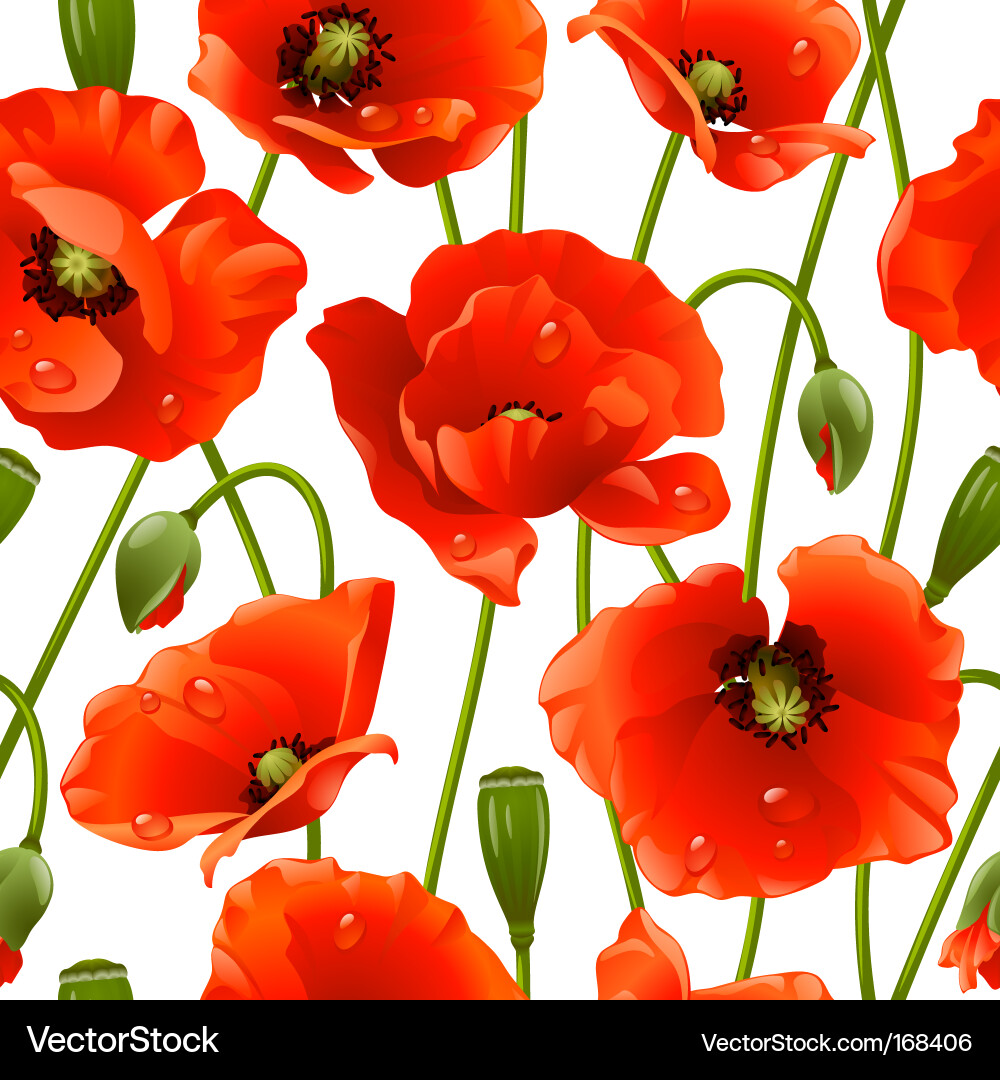 Poppy Field Background vector image