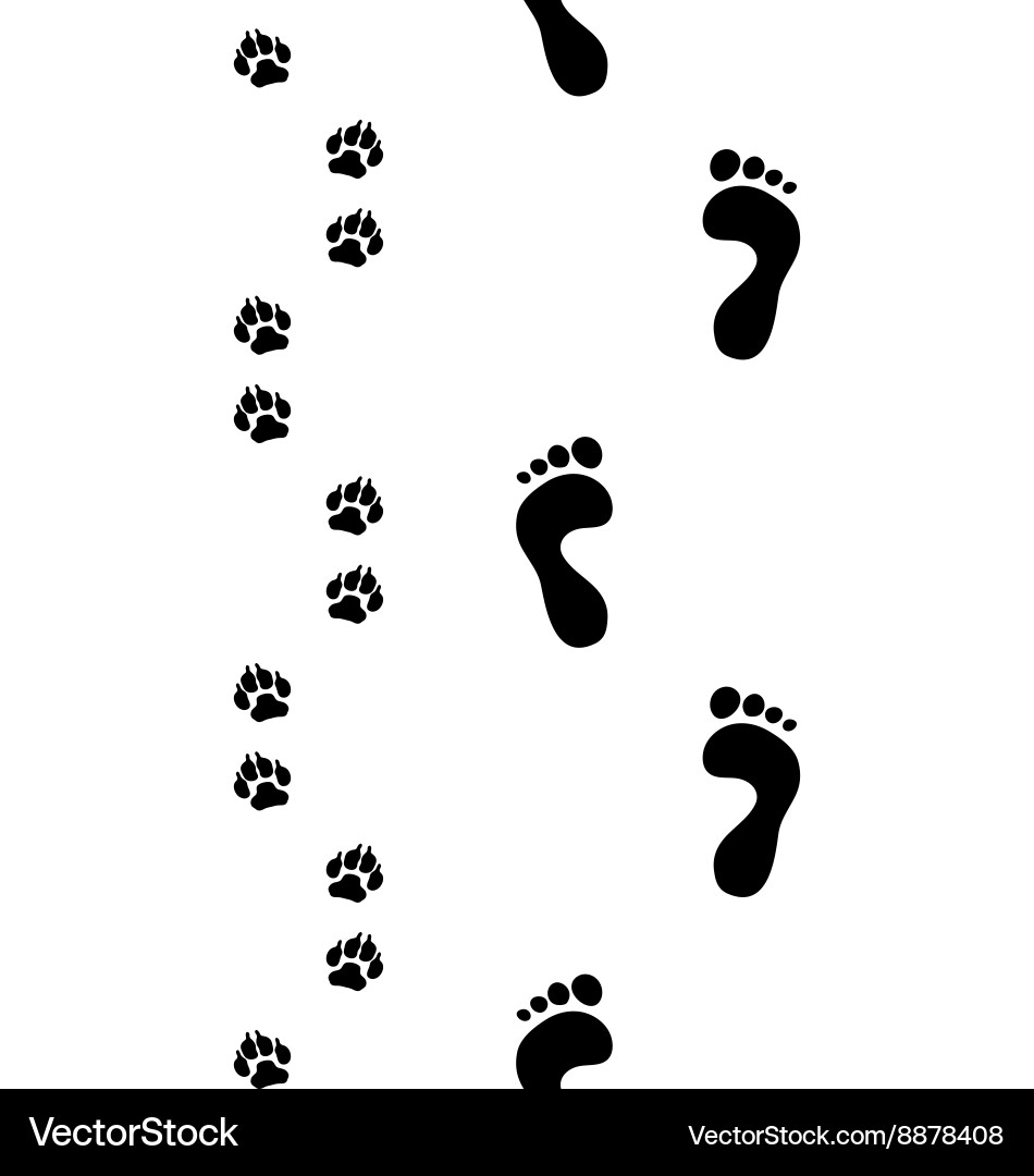 Footprints and Paw Prints Vector Image