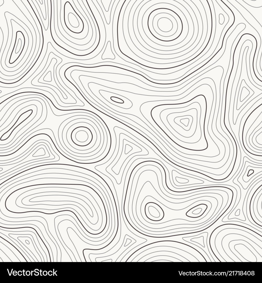 Topographic Height Map Pattern Vector Image