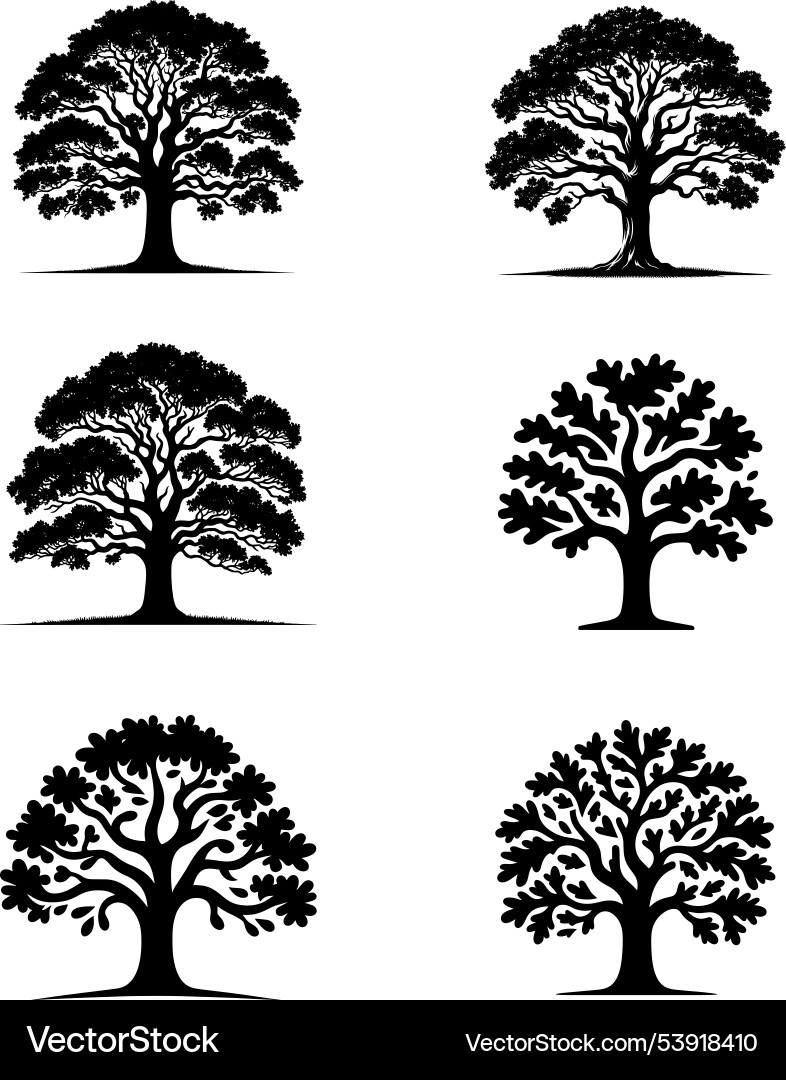 Set von vier Bäumen mit Baum Text Design Set von vier Bäumen mit Baum Text Design vektorbild
