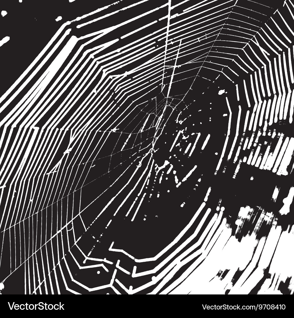 Spider Web Overlay Texture Vector Image