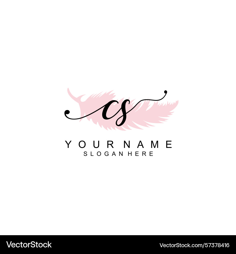 Minimalist handwritten cs initial logos Minimalist handwritten cs initial logos vector image