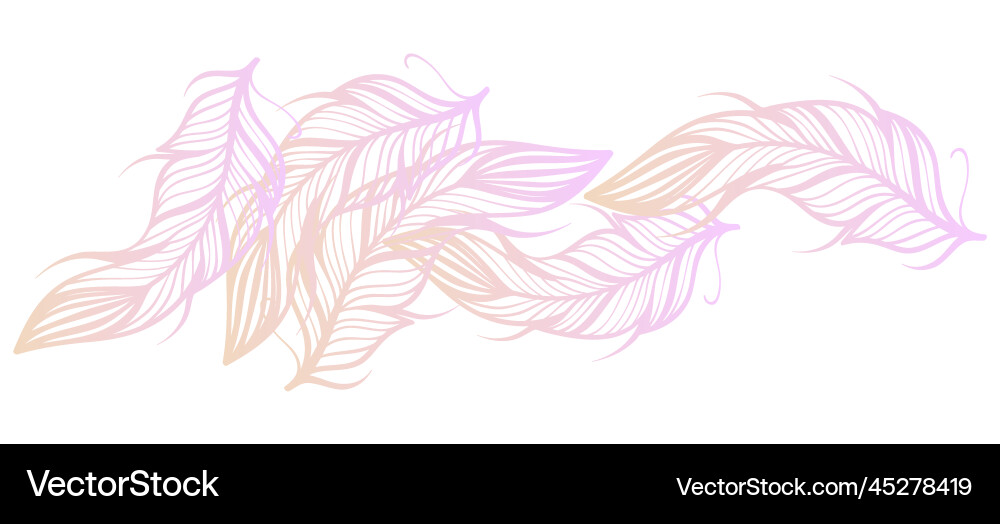 Abstract feathers gradient background design vector image