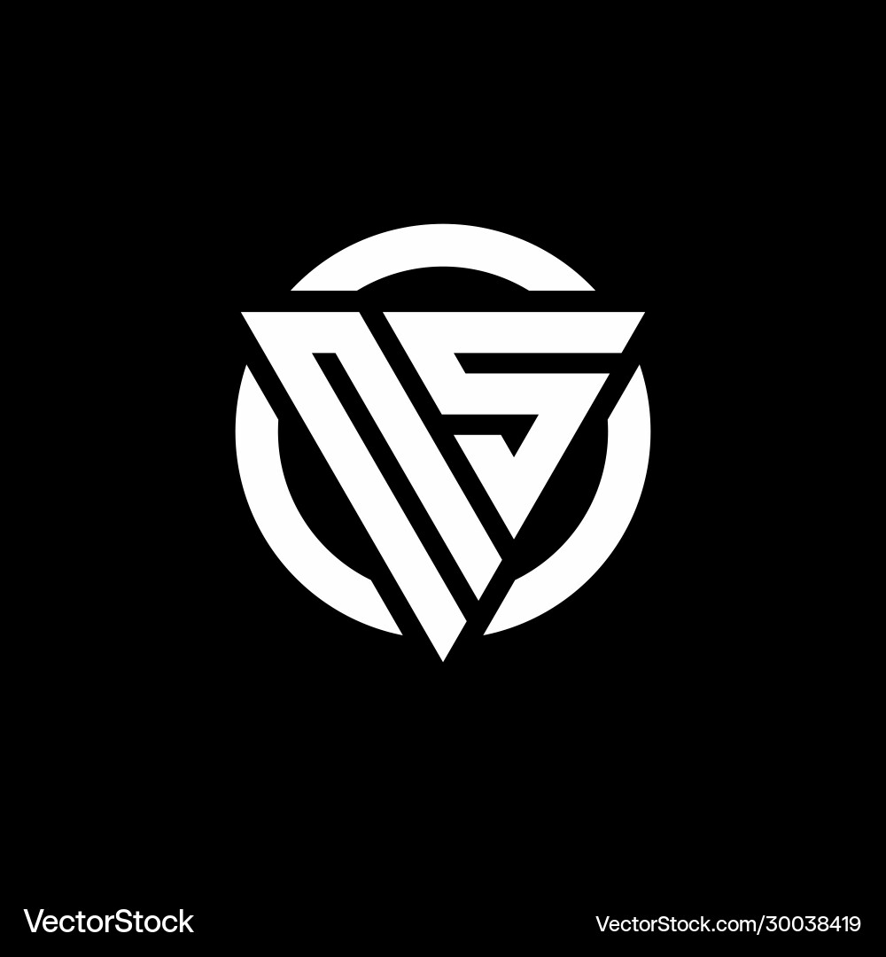 Ns logo with triangle shape and circle rounded vector image