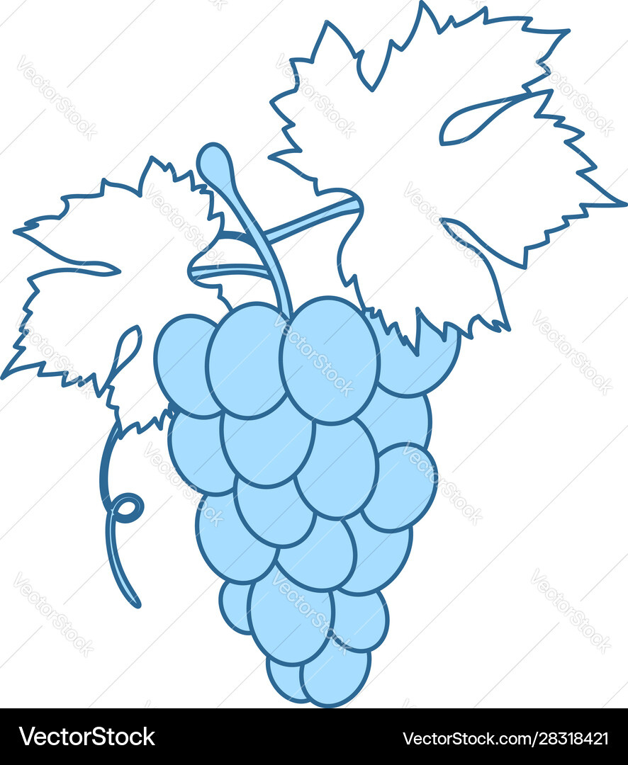 Icon of grape in ui colors vector image