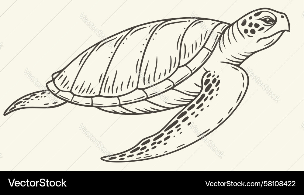 Charming Sea Turtle with Patterned Shell Vector Image