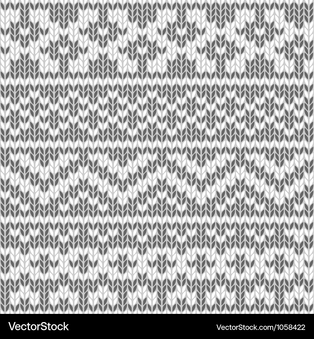 Elegant Knitted Texture vector image