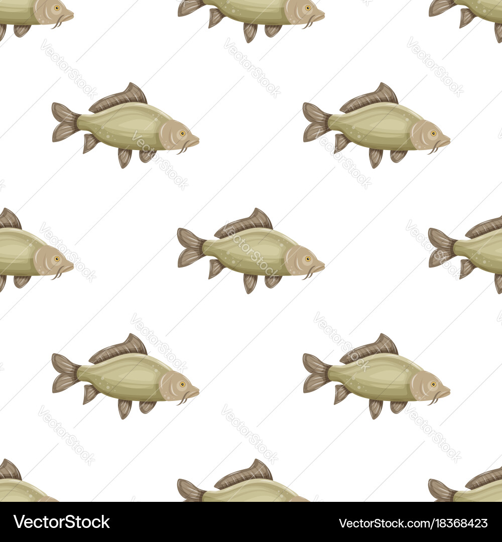 Seamless pattern with common carp isolated vector image