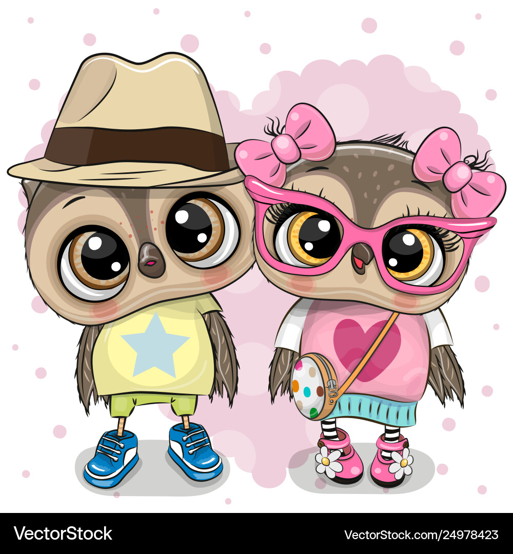 Two cartoon owls on a heart background vector image