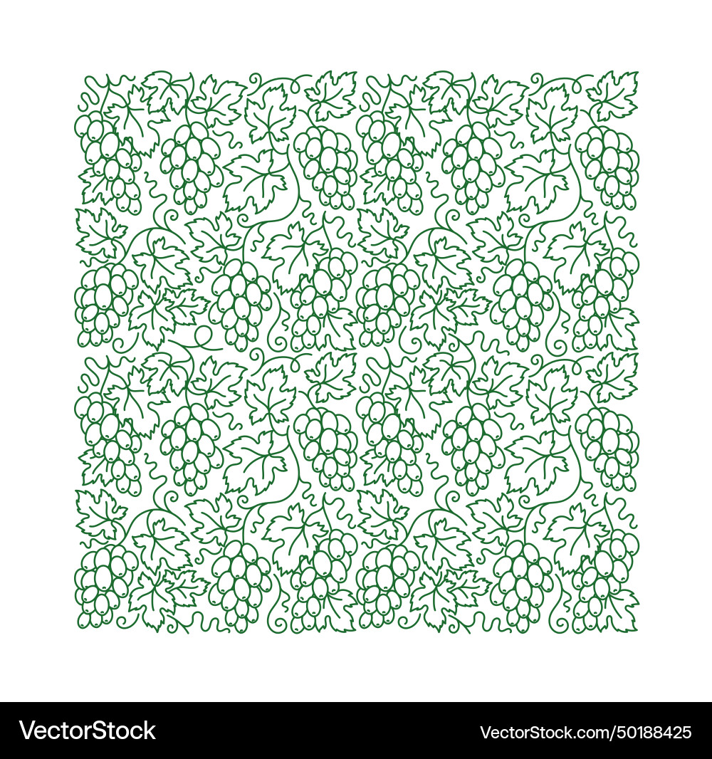 Grape vine square pattern branches vector image
