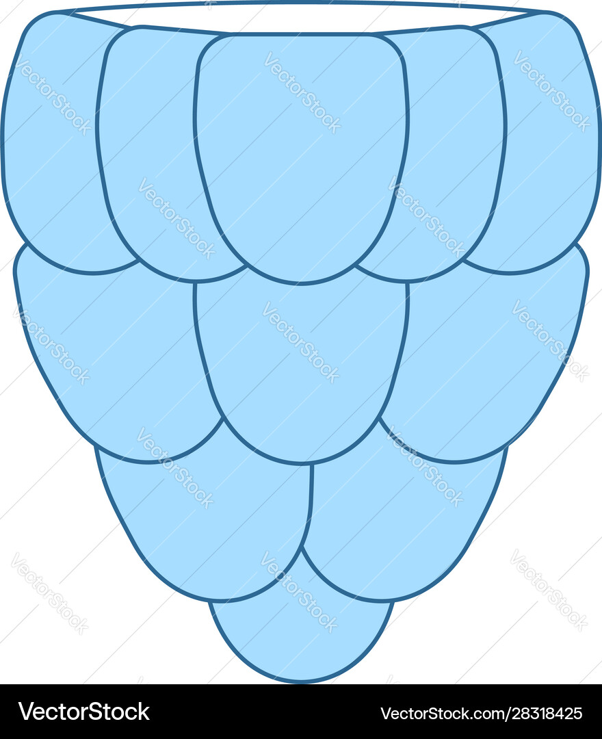 Icon of raspberry in ui colors Icon of raspberry in ui colors vector image