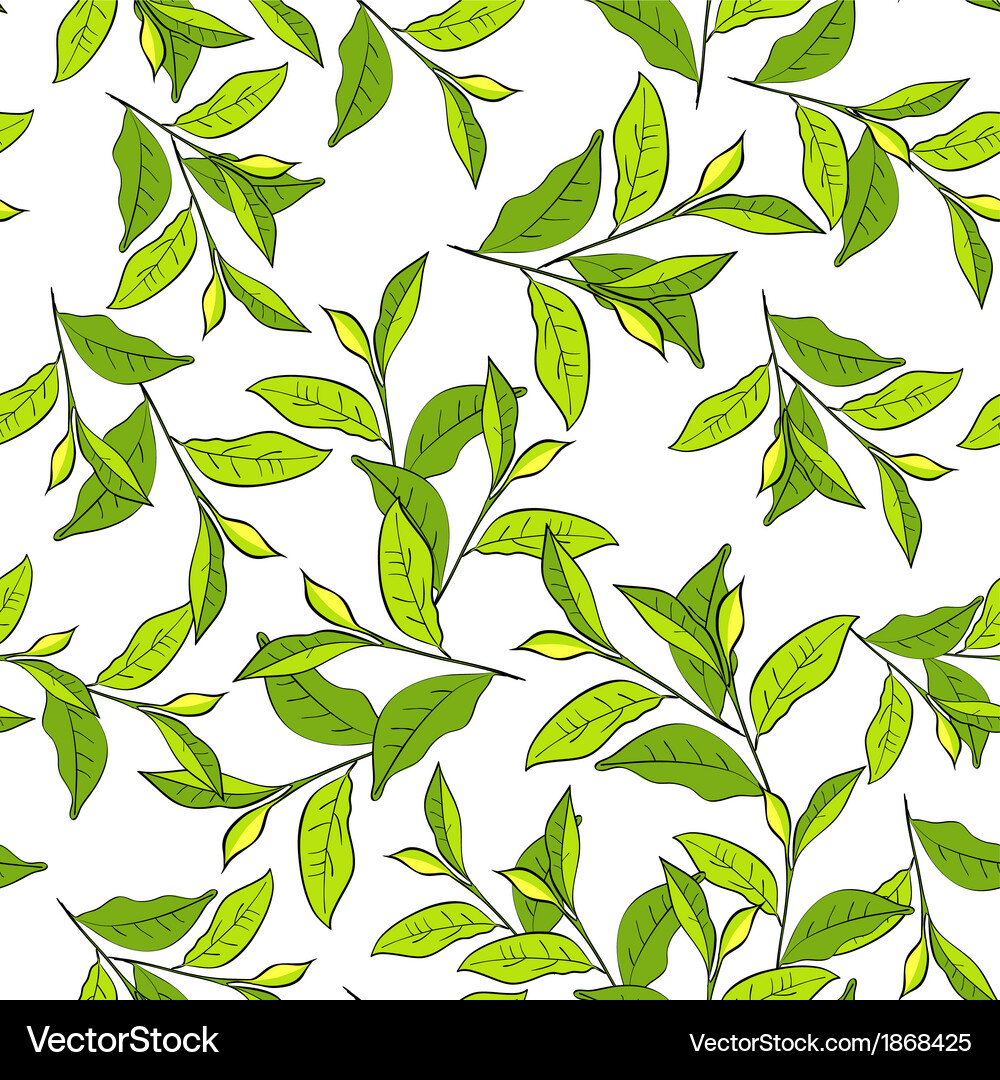 Leaf Pattern Background Vector Image