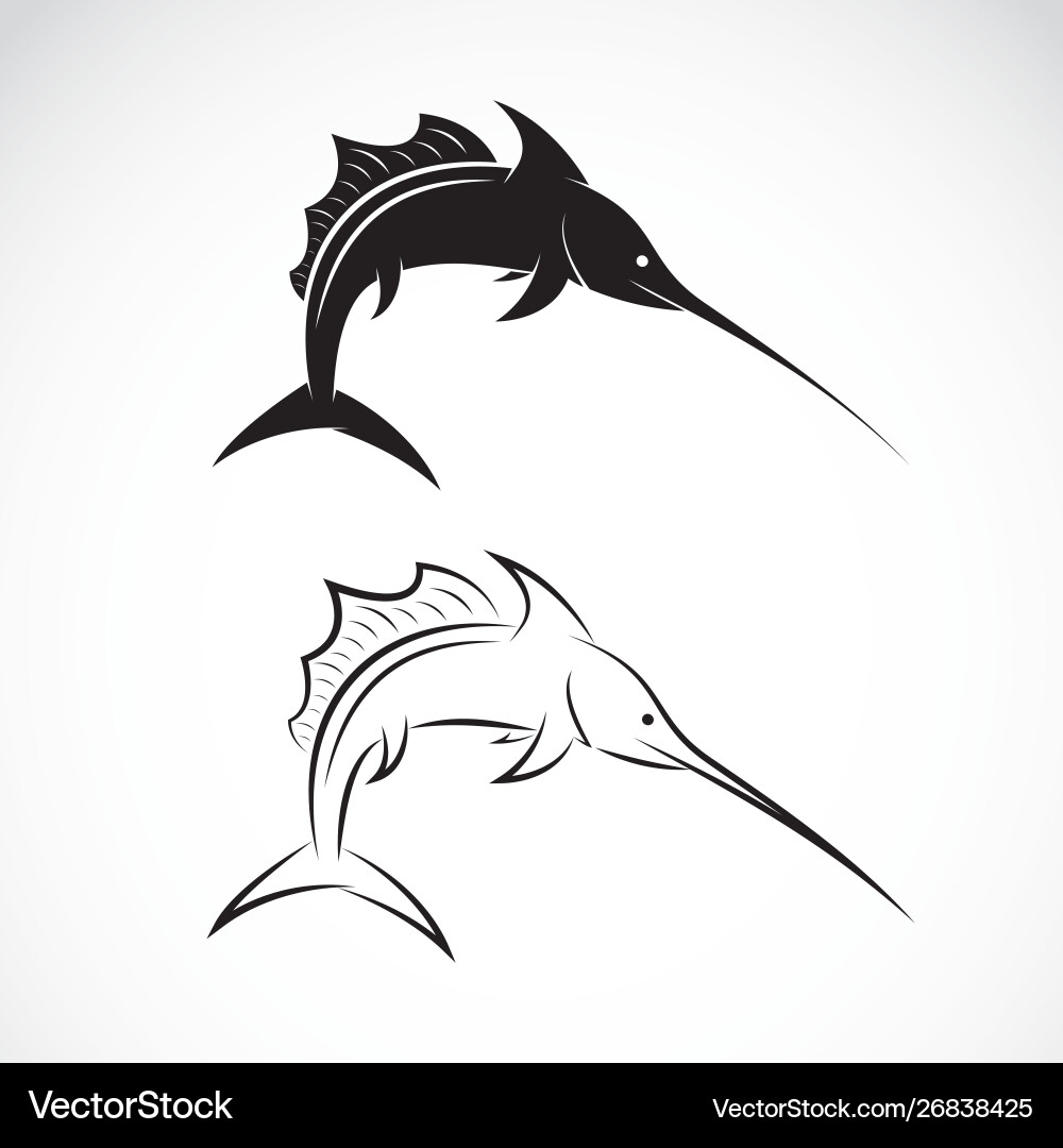 Sailfish design on white background sea animal Sailfish design on white background sea animal vector image