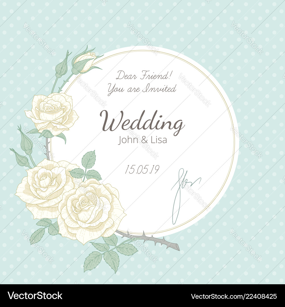 White roses background White roses background vector image