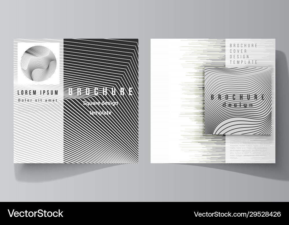 Layout two square format covers design Layout two square format covers design vector image