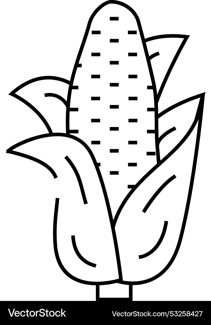Corn plant line icon Royalty Free Vector Image
