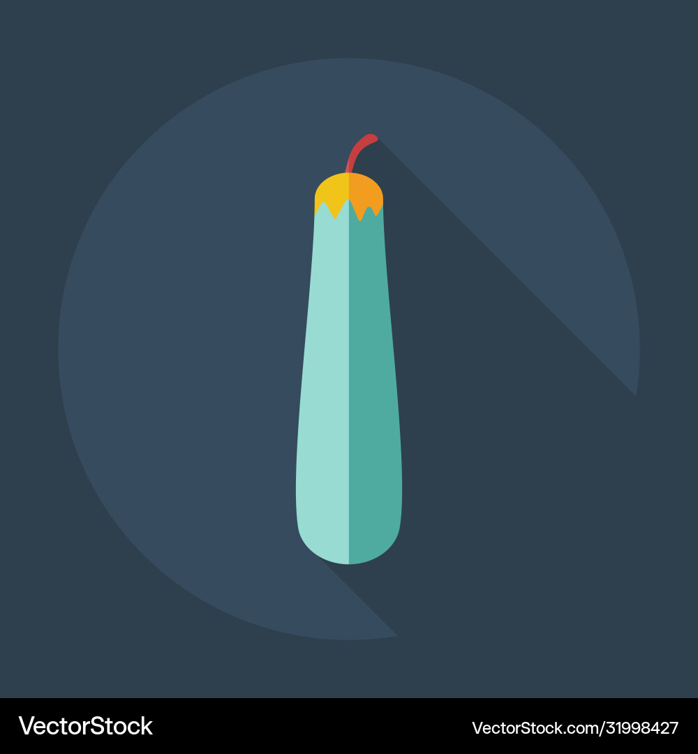 Flaches modernes Design mit Schattensymbolen Squash Flaches modernes Design mit Schattensymbolen Squash vektorbild