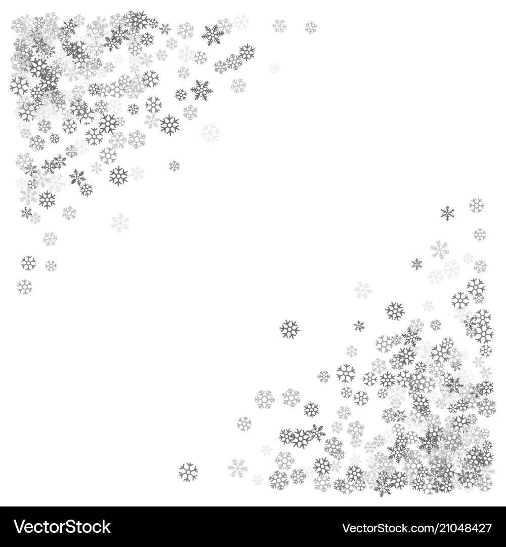 Silver Snowflake Border vector image