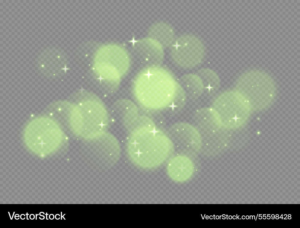 Green bokeh with stars and sparkles shiny overlay Green bokeh with stars and sparkles shiny overlay vector image