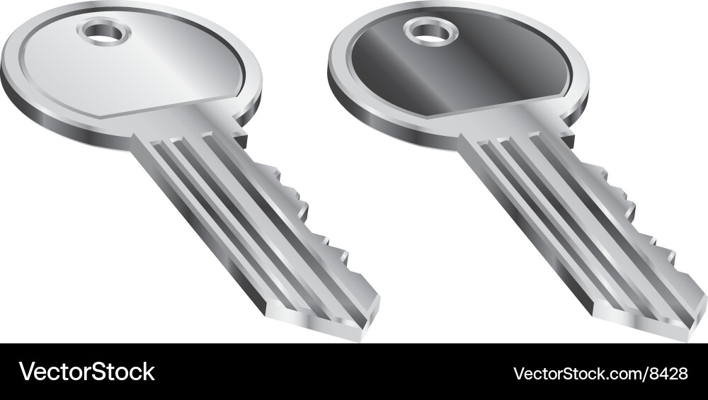 Metallic Key Icon Vector Image