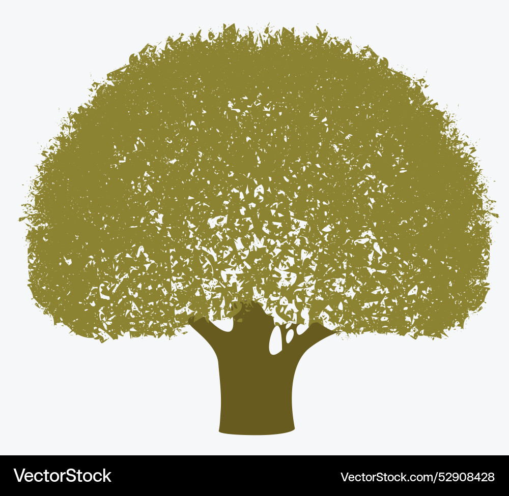 Realistic drawing of olive tree Royalty Free Vector Image