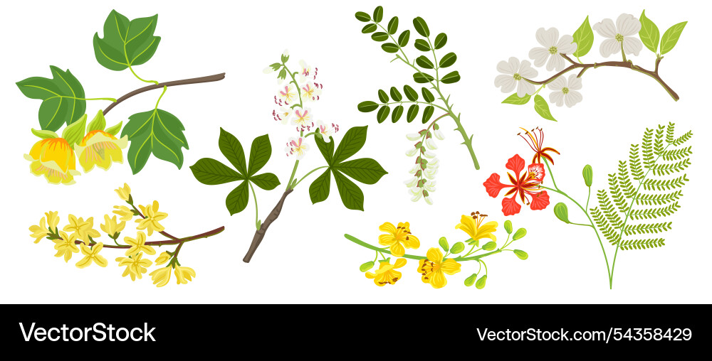 Drawing branch of trees Drawing branch of trees vector image