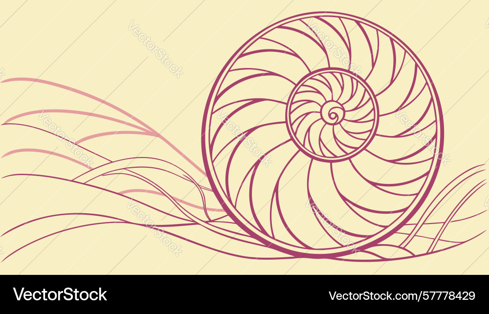 Elegant nautilus shell on abstract wavy lines vector image