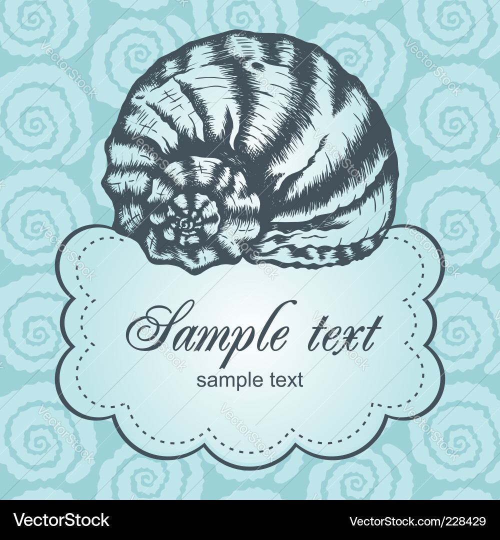 Shell Vector Image
