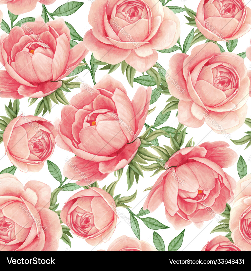 Elegant Peony Watercolor Pattern Vector Image
