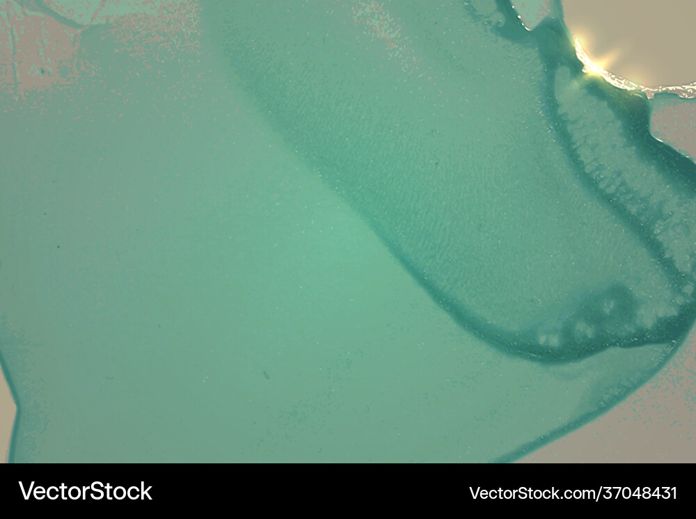 Turquoise pattern with texture geode Turquoise pattern with texture geode vector image