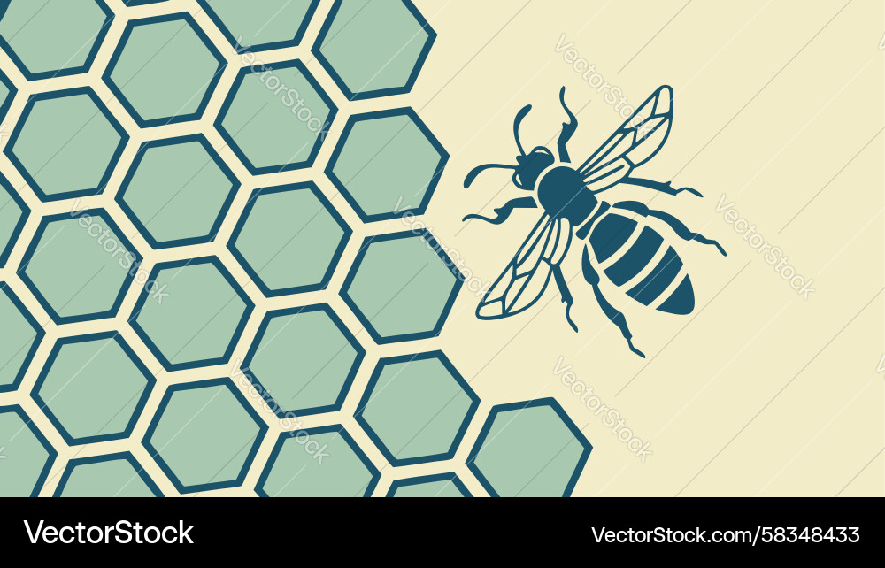 Bee on Honeycomb Pattern Vector Image