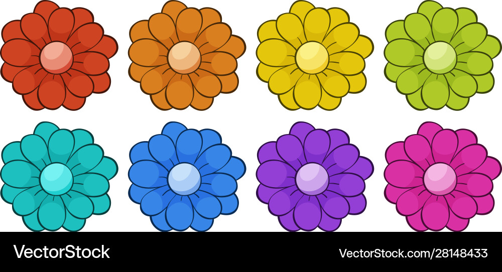 Isolated set flowers Royalty Free Vector Image