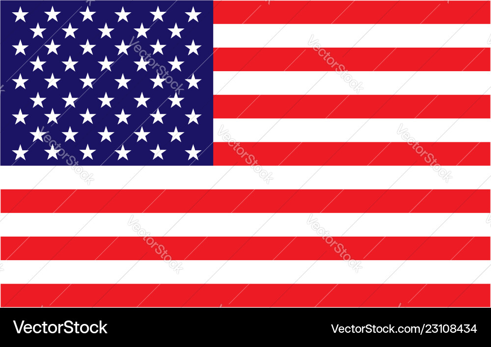 American Flag Background vector image