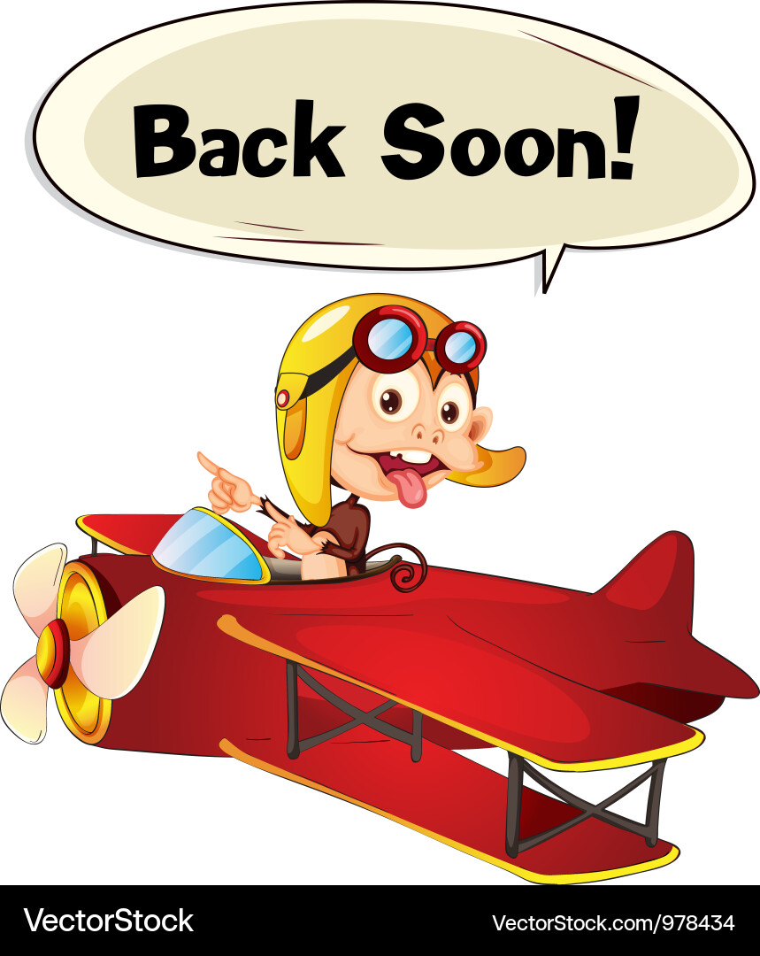 Monkey Flying Airplane Vector Image