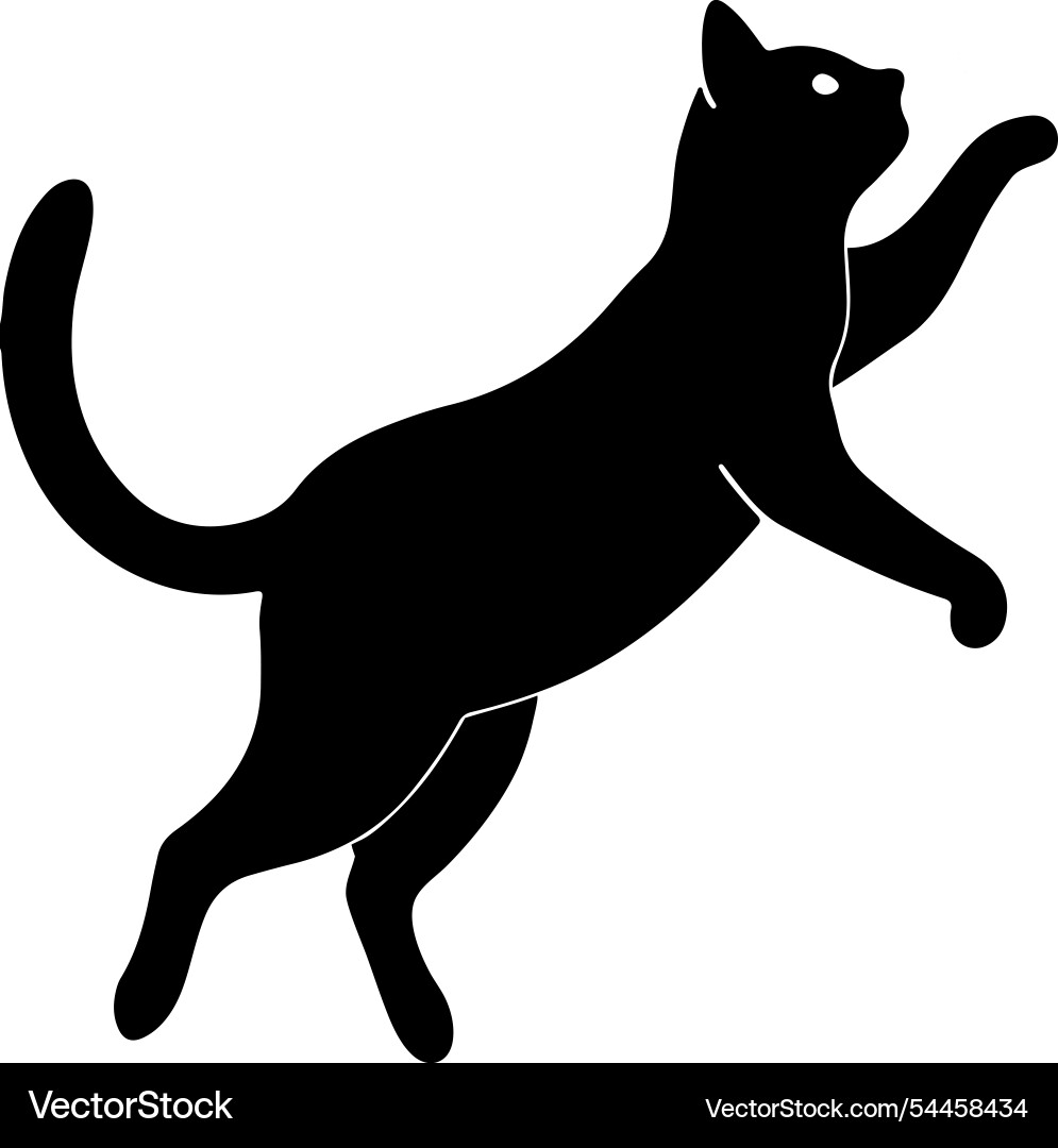 Silhouette of a cat jumping and running in motion Vector Image