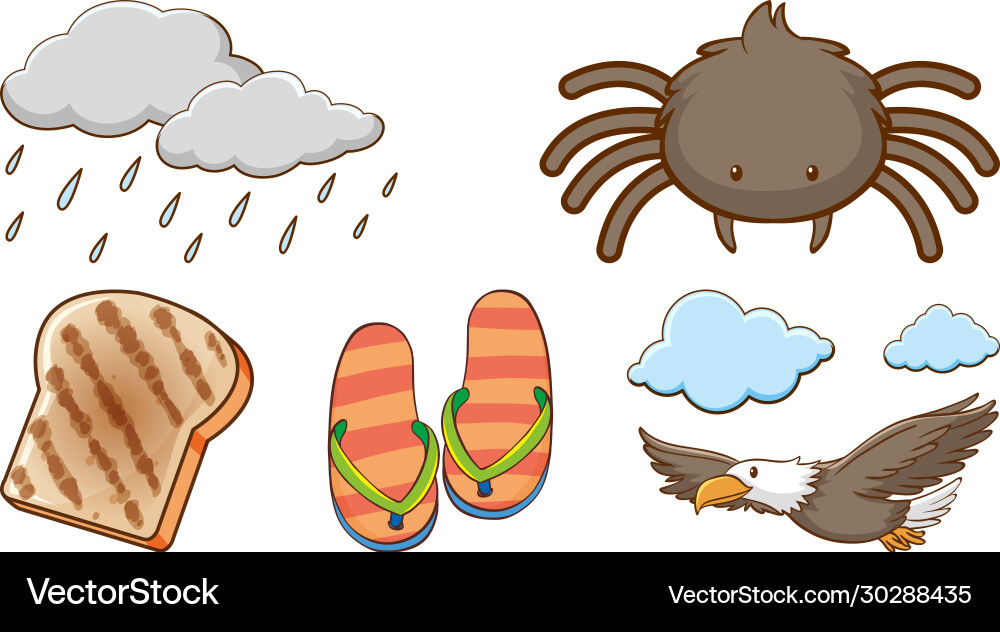 Large set different animals and other objects Large set different animals and other objects vector image