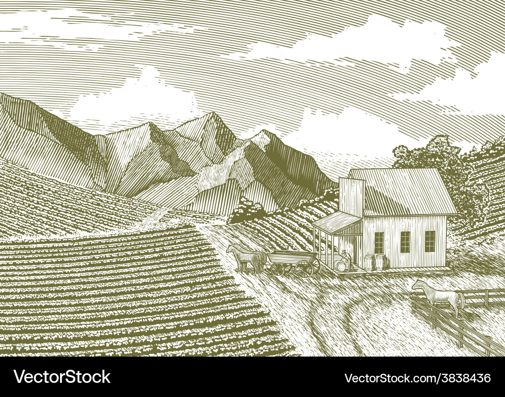Rustic Feed Store Landscape Vector Image