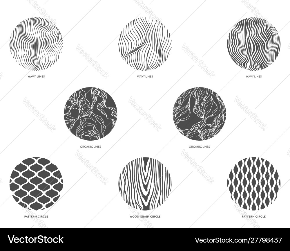 Circle Pattern & Lines vector image