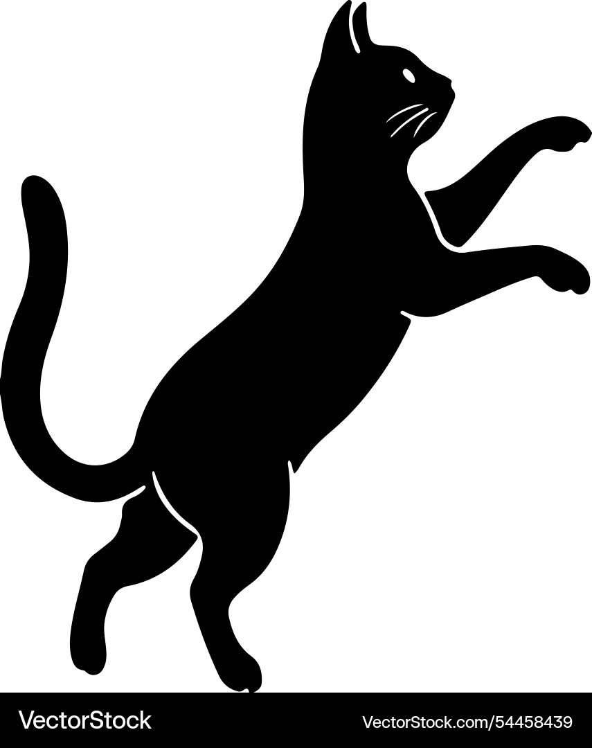 Silhouette of a cat jumping and running in motion Vector Image