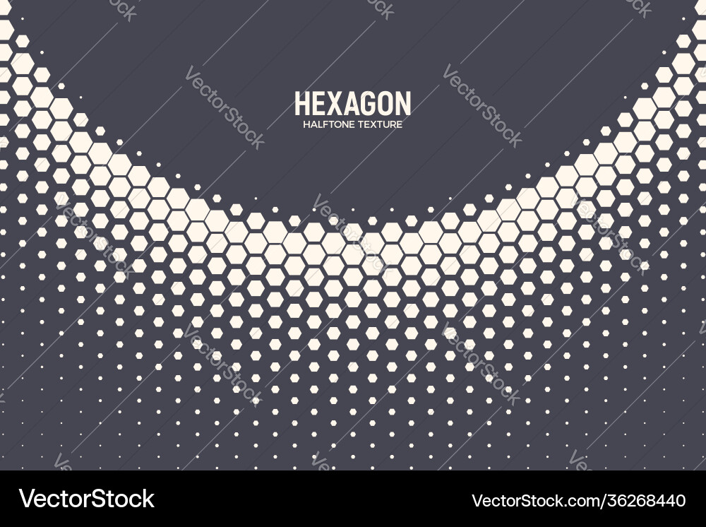 Hexagonal Halftone Pattern vector image